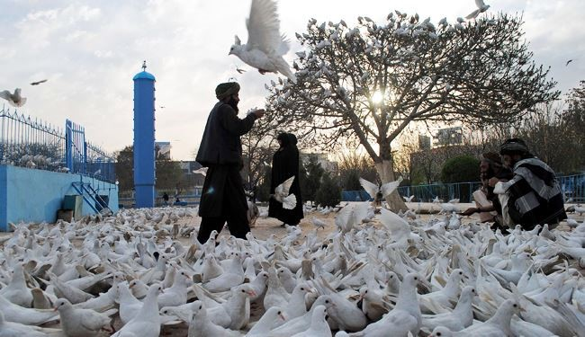 دانه دادن به كبوترها در يكي از اماكن زيارتي در مزار شريف افغانستان