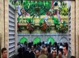 گل‌آرایی حرم مطهر حضرت علی(ع) با 10 هزار شاخه گل