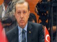 اردوغان یک "دیکتاتور تمام عیار" است