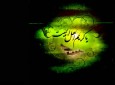 صلح امام حسن (ع) نتیجه بی وفایی کوفیان