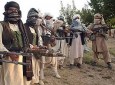حمله انتحاری در پنجشیر کار شبکه حقانی بود