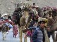 حمله کوچی‌ها در بهسود دو کشته و زخمی برجای گذاشت