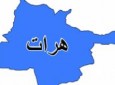 کشته شدن فرمانده پولیس ولسوالی فارسی هرات