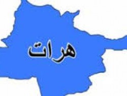 کشته شدن یک زن در هرات