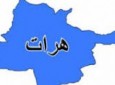 کشته شدن یک زن در هرات