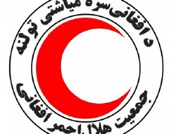 ناامني هنوز جان مددرسانان هلال احمر را تهديد مي كند