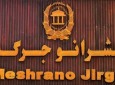 اختلاف نظر نمایندگان و سناتوران