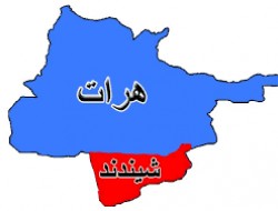 کشته و زخمی شدن یازده طالب در شیندند