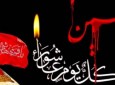 نگفته ها در باره قیام امام حسین(ع) و نهضت عاشورا