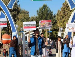 دولت باید از طریق مراجع بین‌المللی حمله هوایی امریکا در قندوز را پیگیری کند