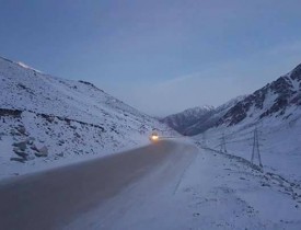 سرمای هوا، جان درختان غور را هم گرفت