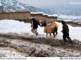 دهېواد په ګن شمېر ولایتونو کې د واورې ورېدلې ۵۰ تنو مړه شوی دي