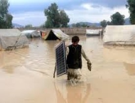 در سال ۲۰۱۵ نزدیک به ۶۰۰  حادثه در جهان به شمول افغانستان اتفاق افتاده است