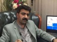 والی هرات: مکتوبی برای دستگیری کامران علیزایی به هرات نیامده است