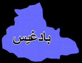 یک بزرگ قومی در بادغیس کشته شد