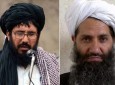 Taliban claims 44 killed, wounded in suicide attack on Mullah Rasool militants