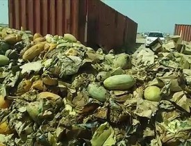 18 Tons Of Kunduz Melons Rot In Tajikistan