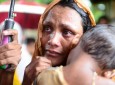 Chaos all around at Rohingya camps in Bangladesh