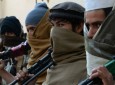 Taliban’s shadow district governor killed in Faryab infighting