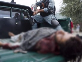 Taliban local leaders and militants suffer heavy casualties in Helmand operations