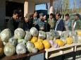 کشف و ضبط یک محموله بزرگ مواد مخدر در غور
