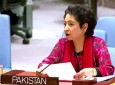 US and Pakistan in heated exchange over Afghanistan in UNSC debate