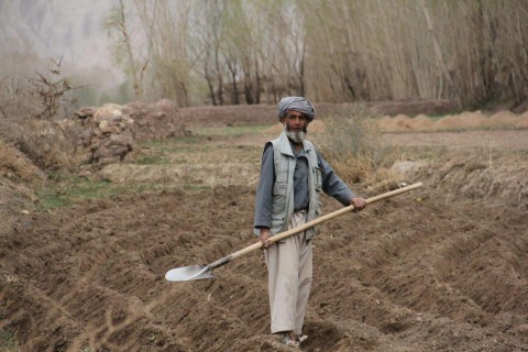 کاهش ۵۰ درصدی بارش برف، کشاورزان بامیان را نگران کرده است