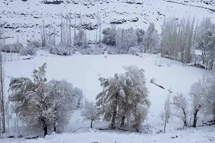 برف‌باری در برخی از مناطق ولایت غزنی