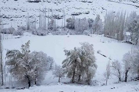 برف‌باری در برخی از مناطق ولایت غزنی