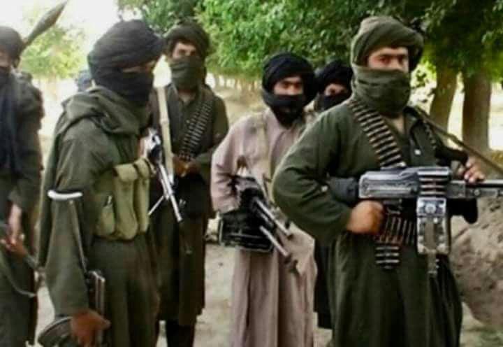 Deadly infighting among militants in Kapisa province