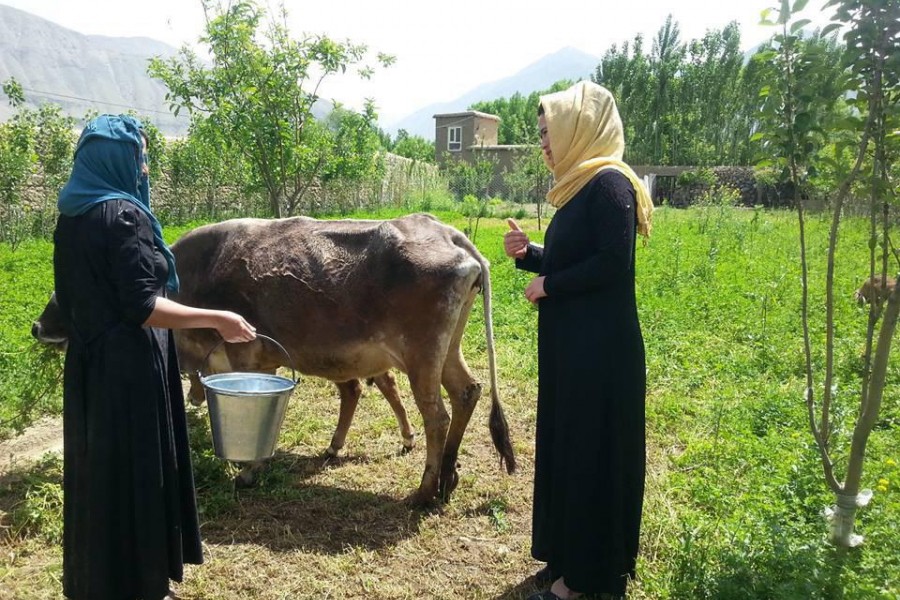 آموزش‌ برنامه‌ ملی باغداری و مالداری برای زنان بدخشان