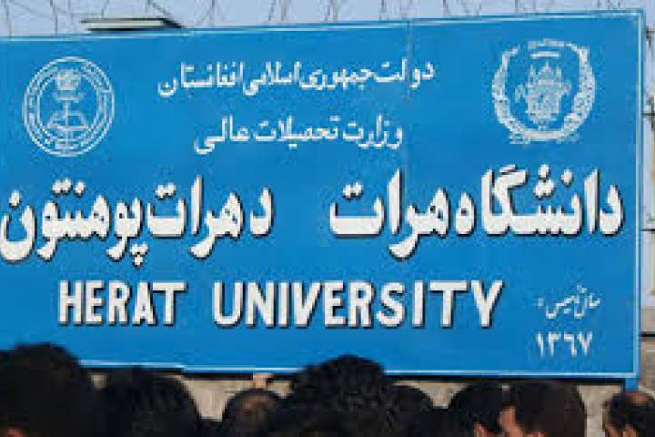 زنان با رعایت موازین اسلامی در جامعه فعالیت نمایند