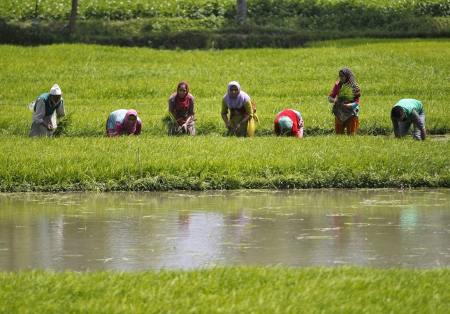 Afghanistan seeks agriculture tie-ups with India