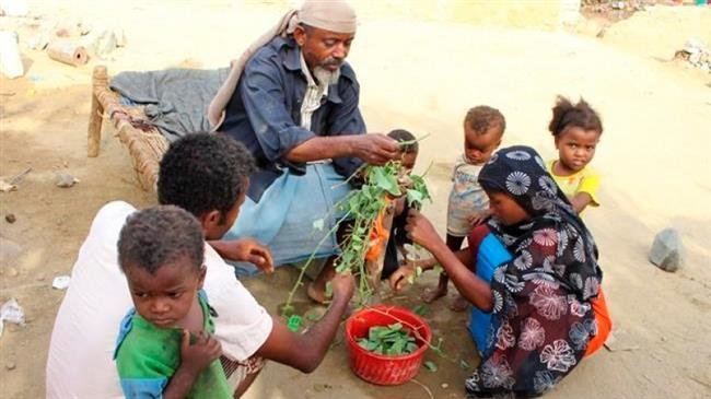 Starving Yemenis eat leaves to survive amid war: Report