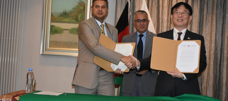 Japan Gives $10mn To Improve Agriculture Techniques in Afghanistan