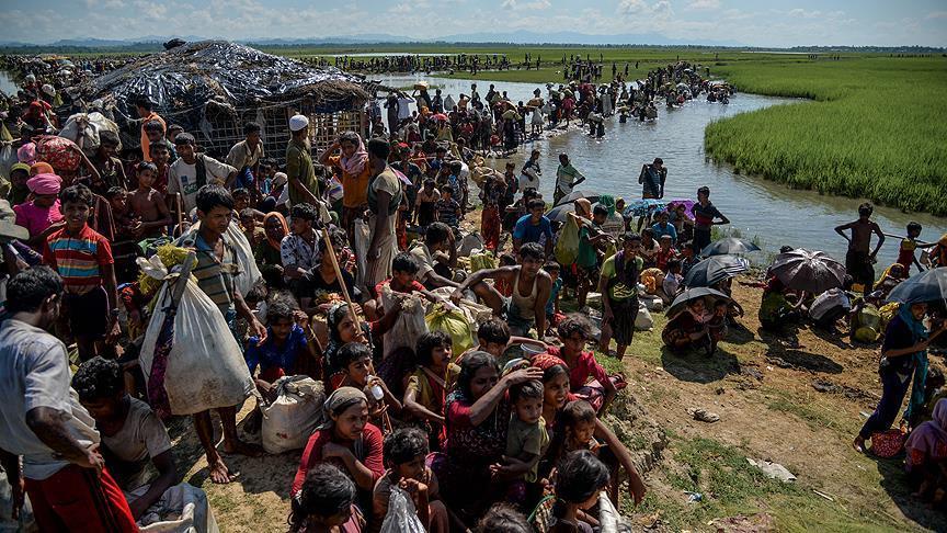 Crisis Group urges halt to forced Rohingya repatriation