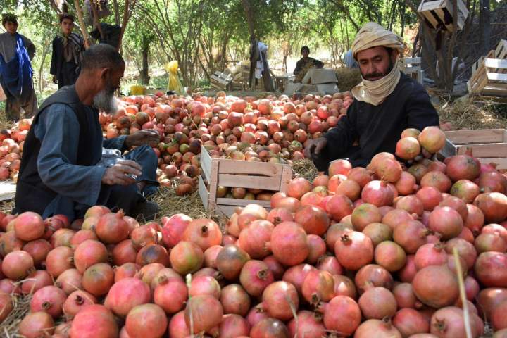 Feature: People in Kandahar, Afghanistan strive for development amid insurgents