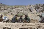 Taliban Infighting Leaves Dozens Of Militants Dead In Afghanistan