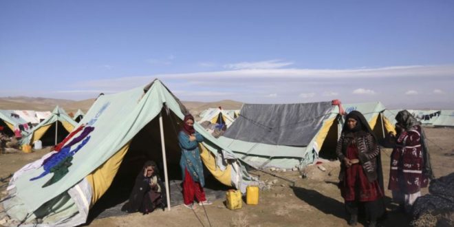 Struggling with life, Herat IDPs forced to sell children