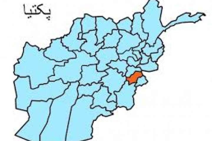 Taliban Shadow Governor for Paktika Killed