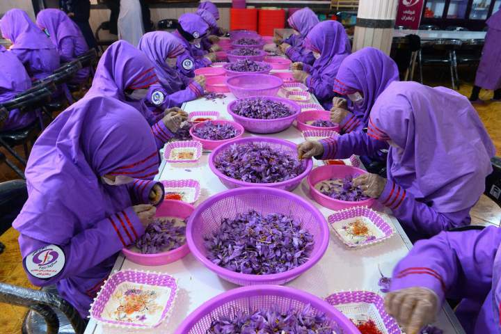 Red gold: Afghanistan’s booming & blooming saffron may become alternative to opium poppy trade