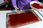 Red gold: Afghanistan’s booming & blooming saffron may become alternative to opium poppy trade