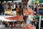 Afghanistan holds agriculture fair to promote domestic products