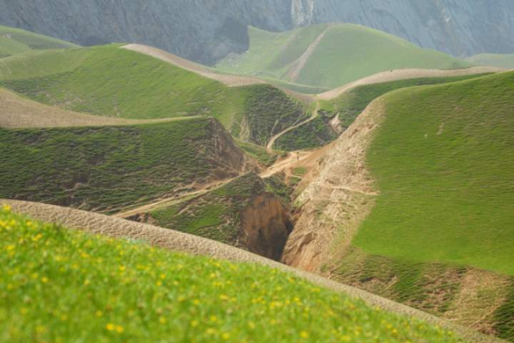 سال روان؛ سالی پربار و پرمحصول برای ولایت غور