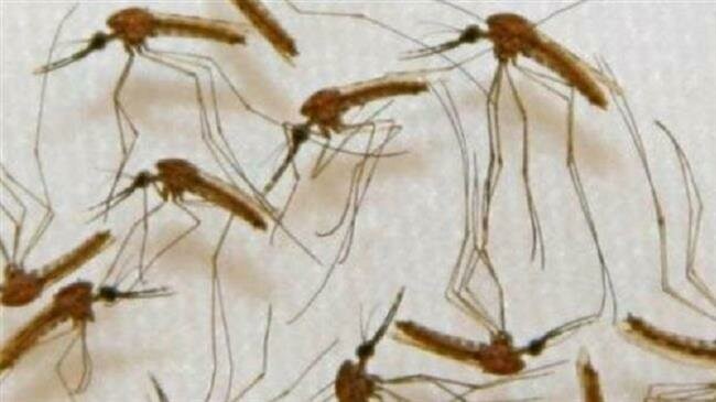 Malaria has killed 1,800 people in Burundi so far in 2019: UN