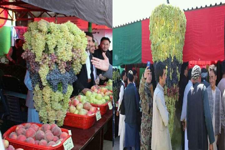 جشنواره انگور و محصولات باغداری در سرپل برگزار شد