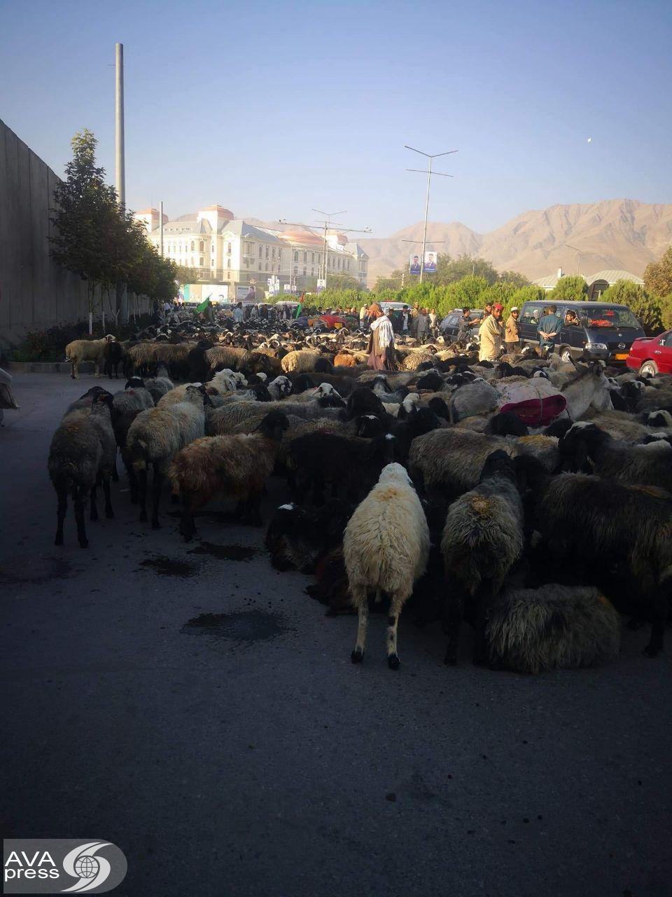 کوچی‌ها در اعتراض به غصب علف‌چرهایشان درب پارلمان را بستند