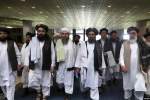 Taliban seeking peace talks resumption