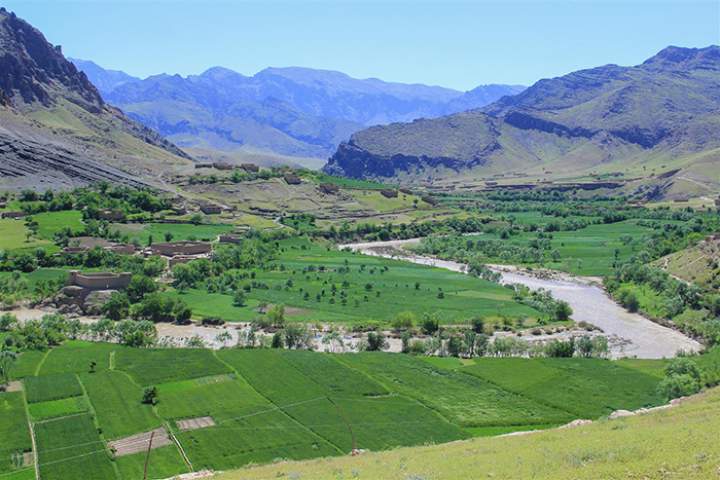 دایکندی نسبت به مساحت خود دارای بیشترین ساحات علفچر است