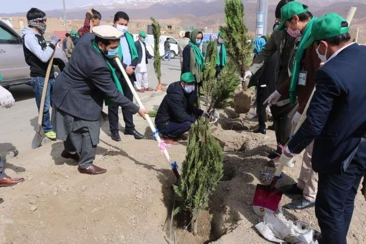 آغاز کمپاین نهال شانی با غرس ۳ هزار اصله نهال در بامیان